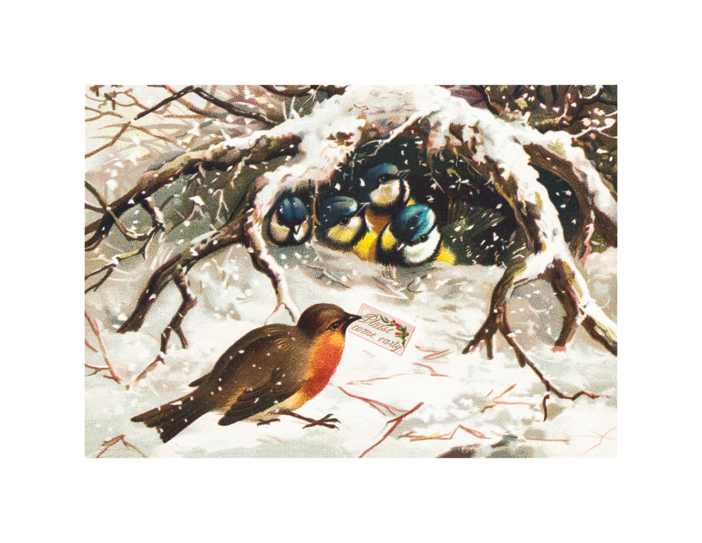 Home for the Holidays