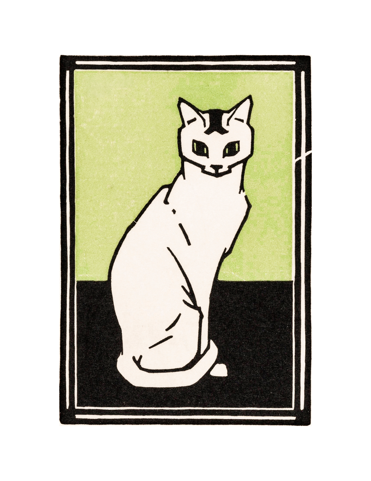 Cat on Green