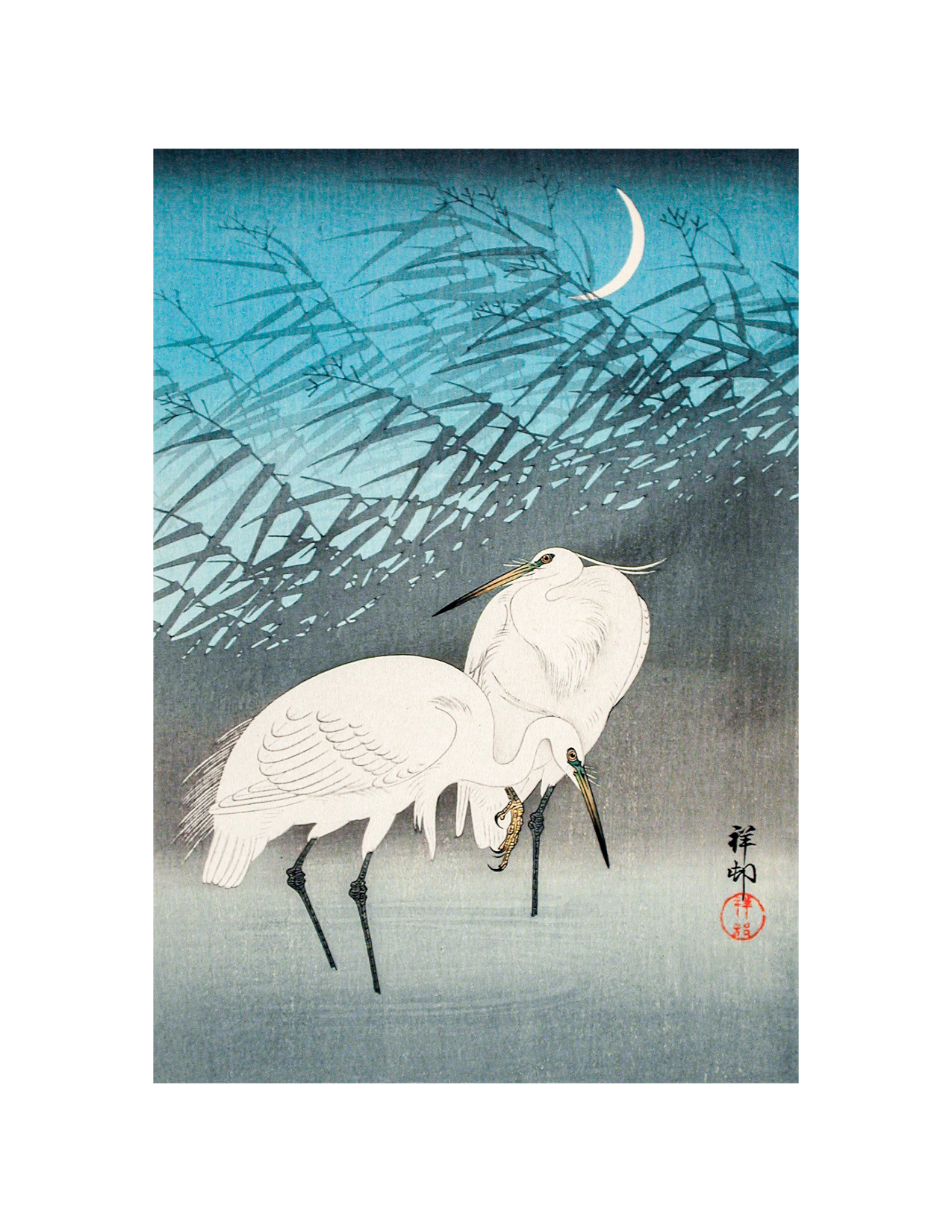 Egrets in Moonlight