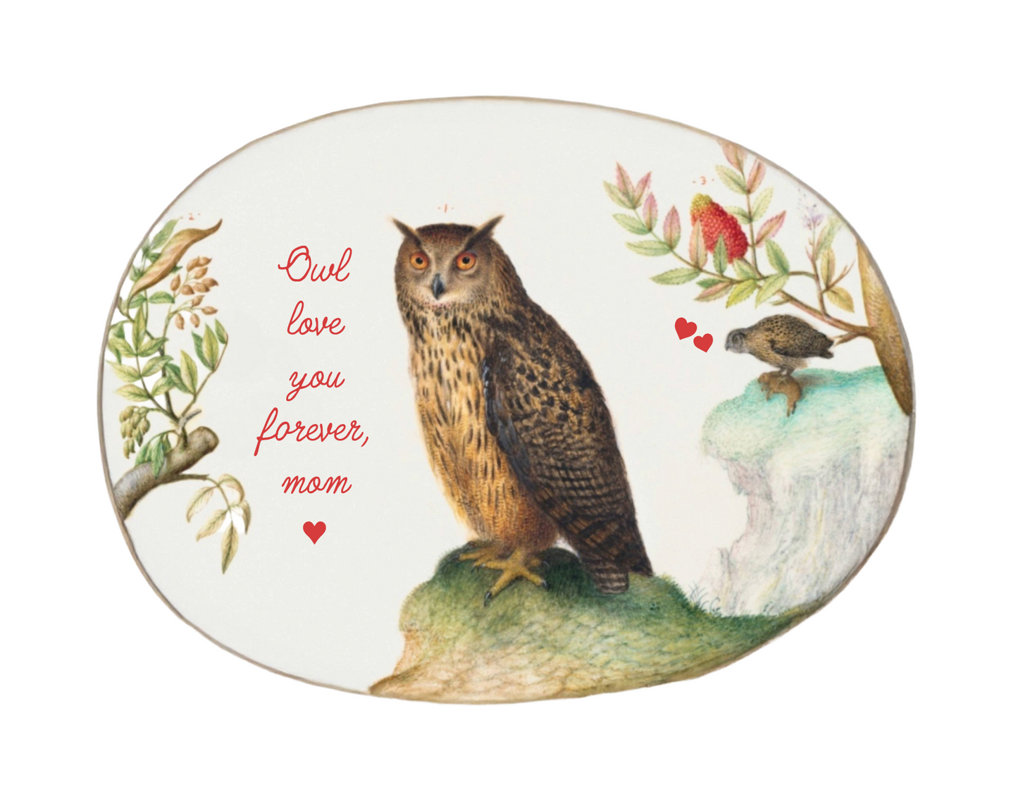 Owl Mom