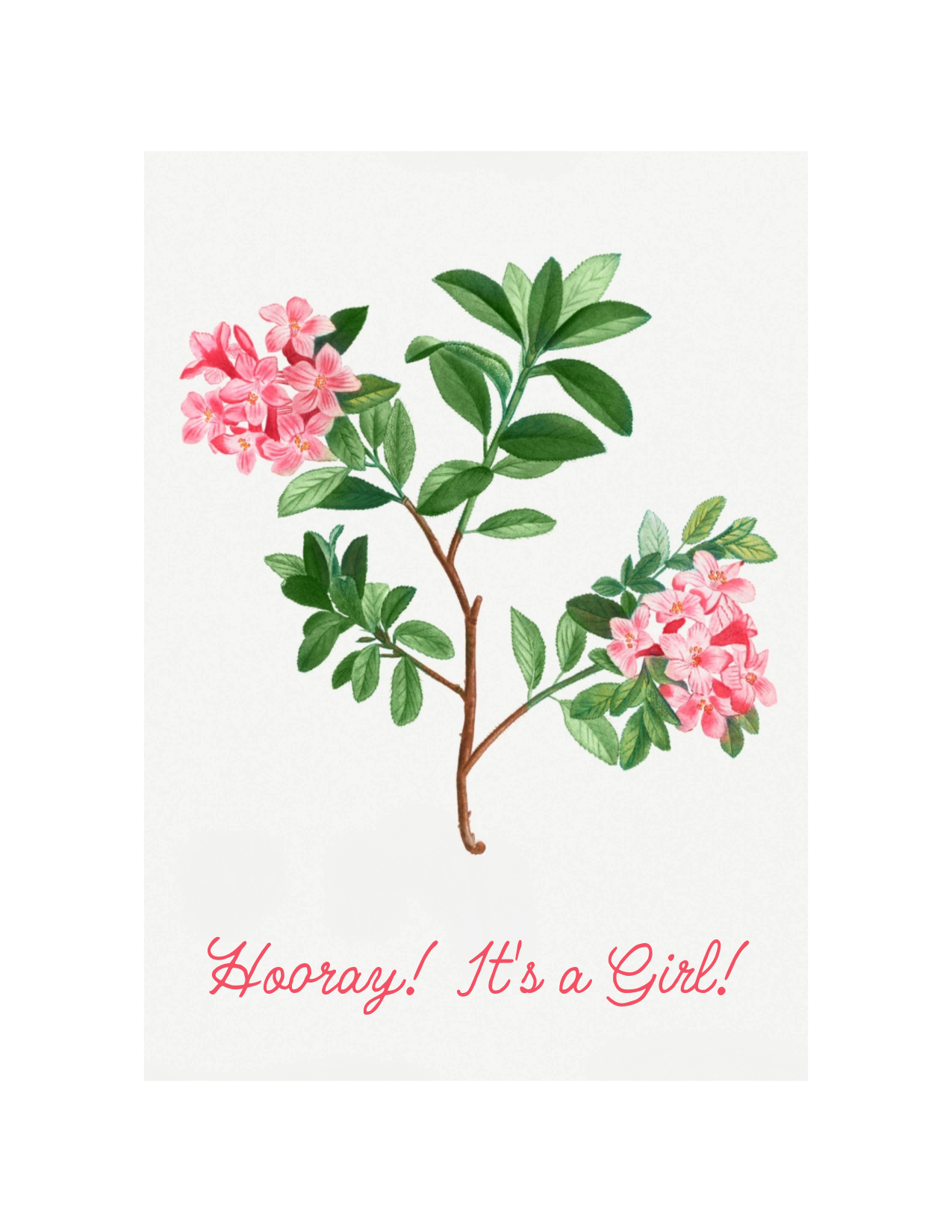 It's a Girl!