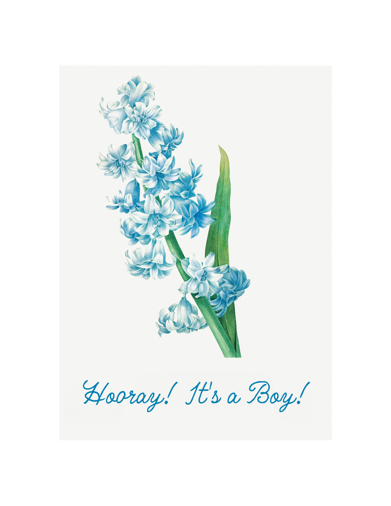 It's a Boy!