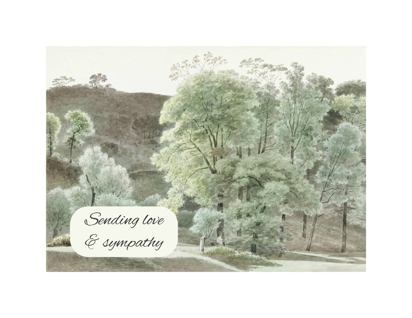Love & Sympathy