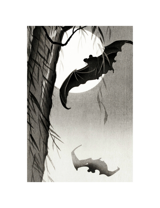 Bats Under a Full Moon