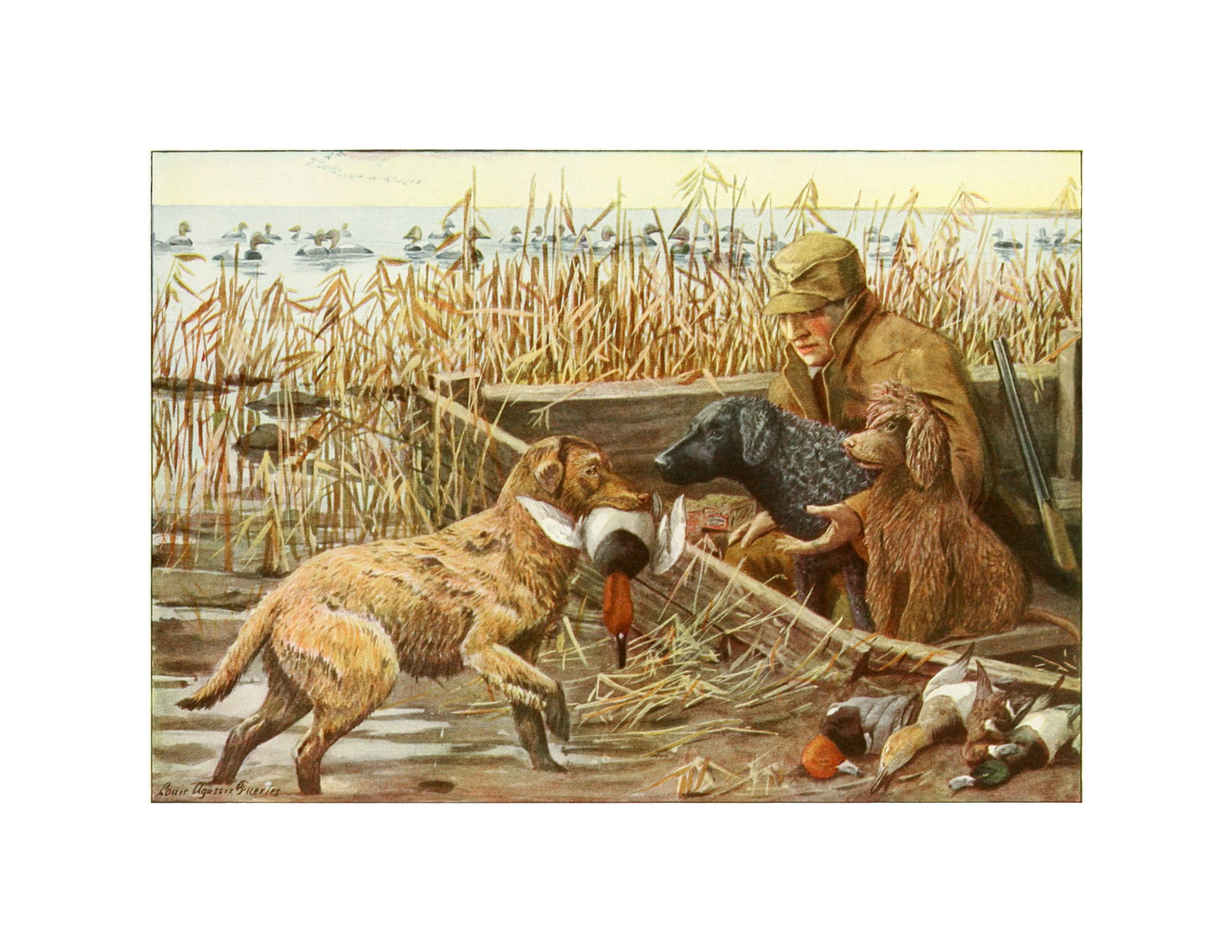 Hunting Dogs