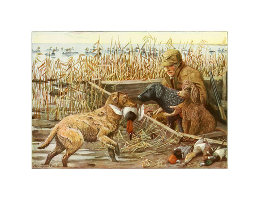 Hunting Dogs