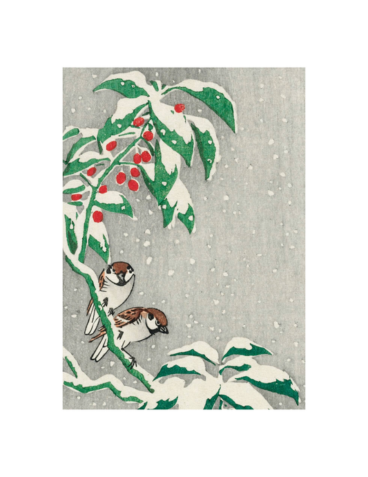 Sparrows on a Snow Berry Bush, Part 1