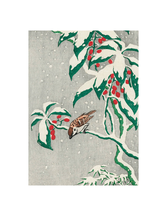 Sparrows on a Snow Berry Bush, Part 2