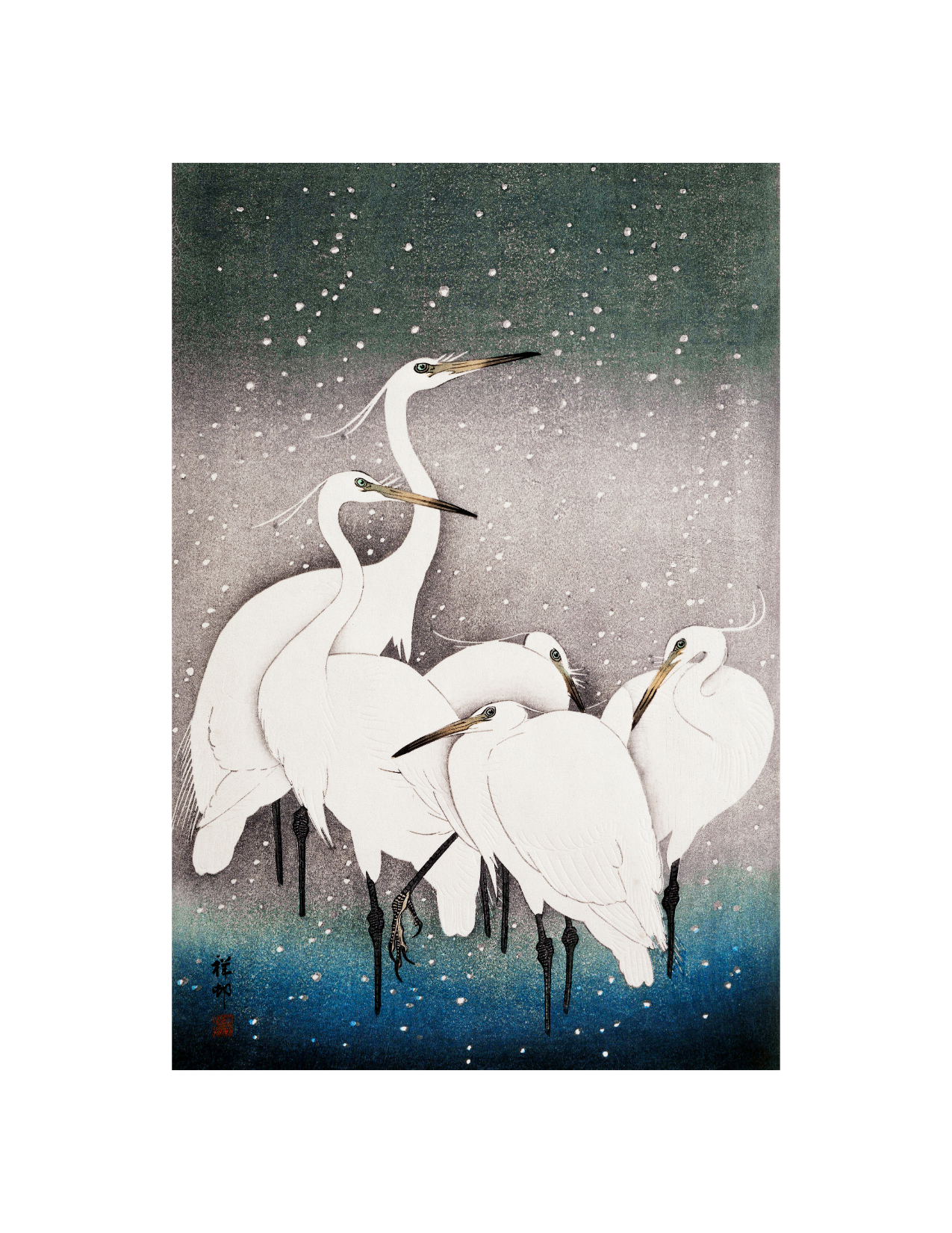 Egrets in Snow
