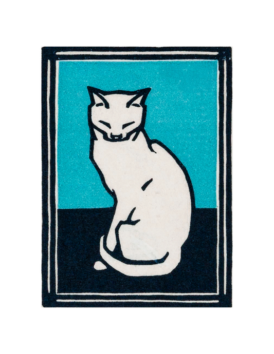 Cat on Blue