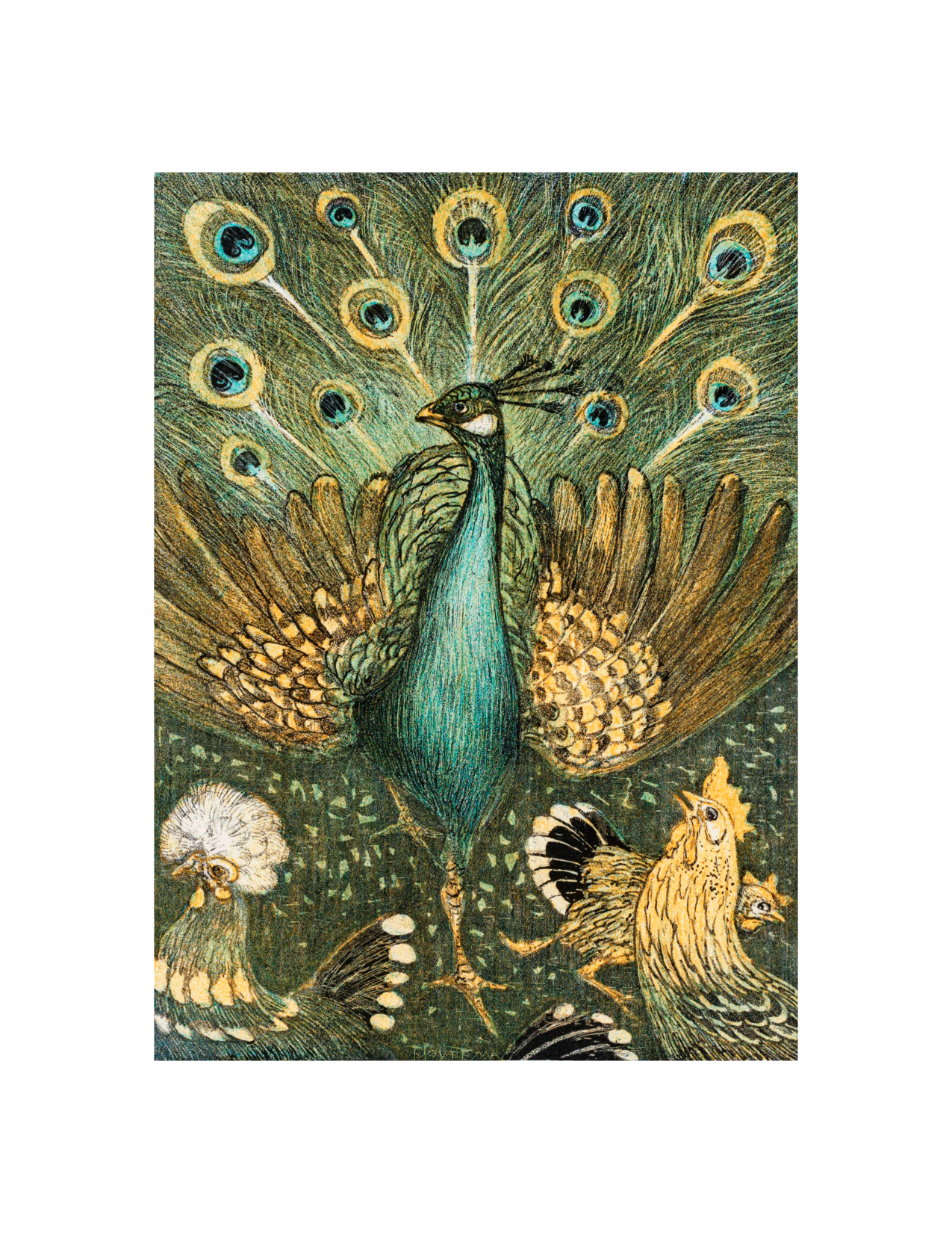 Peacocks