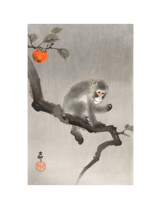 Monkey and Persimmon