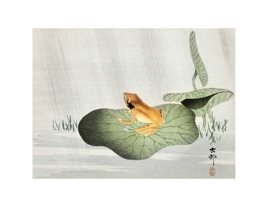 Frog on a Lotus Leaf