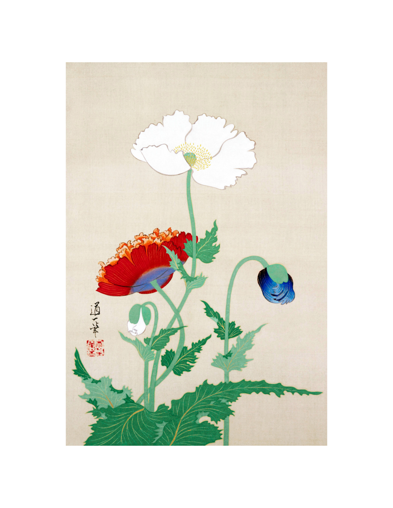Japanese Poppies