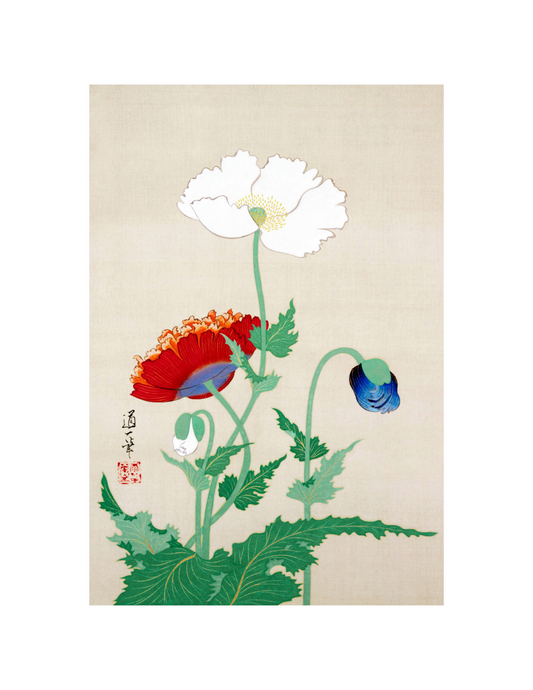 Japanese Poppies