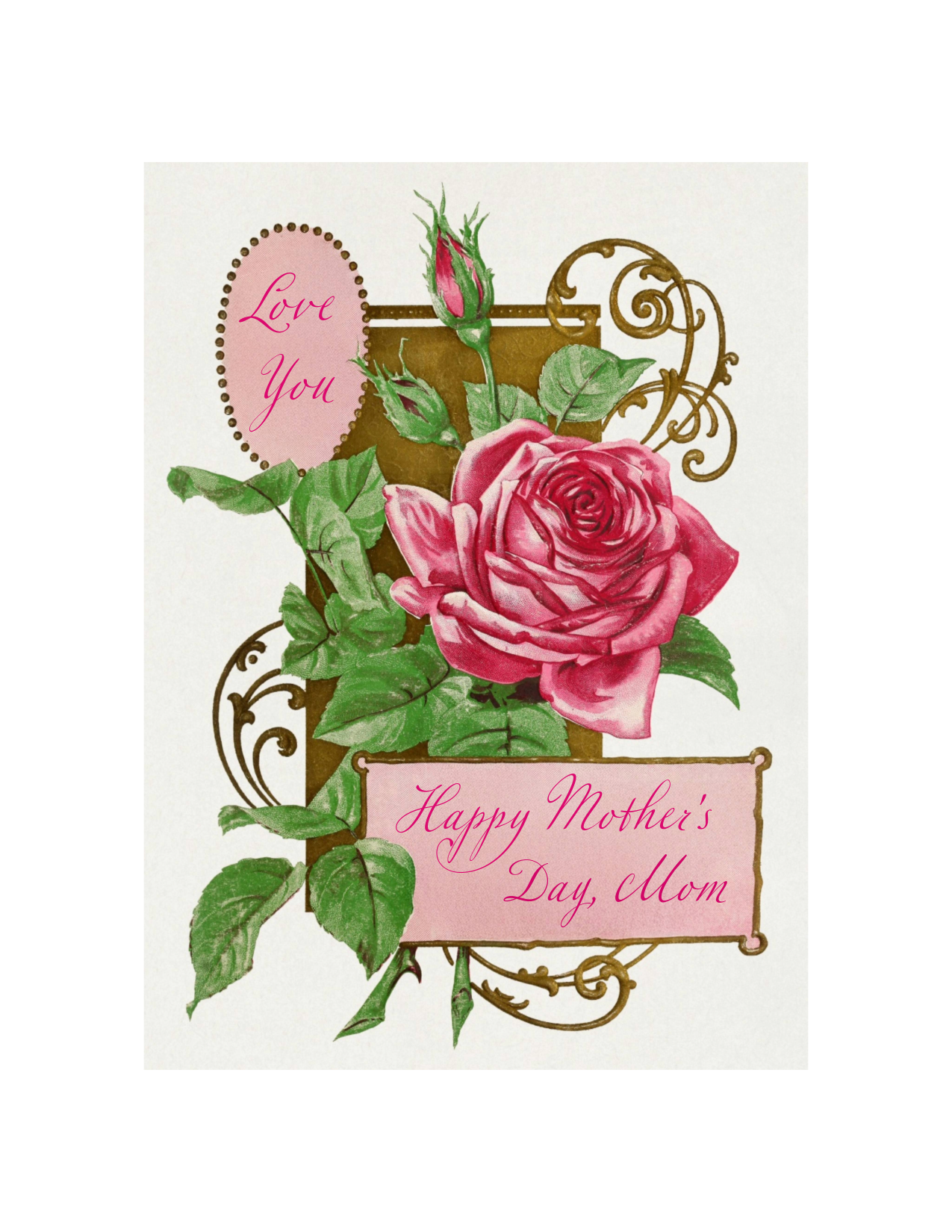 Mother's Day Rose, Pink