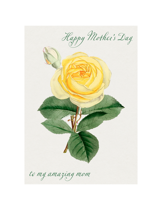 Mother's Day Rose, Yellow