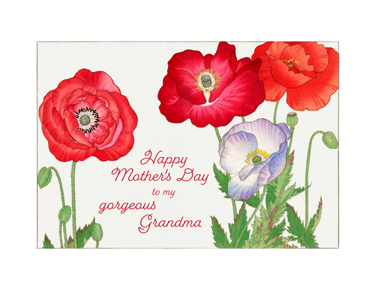 Gorgeous Grandma
