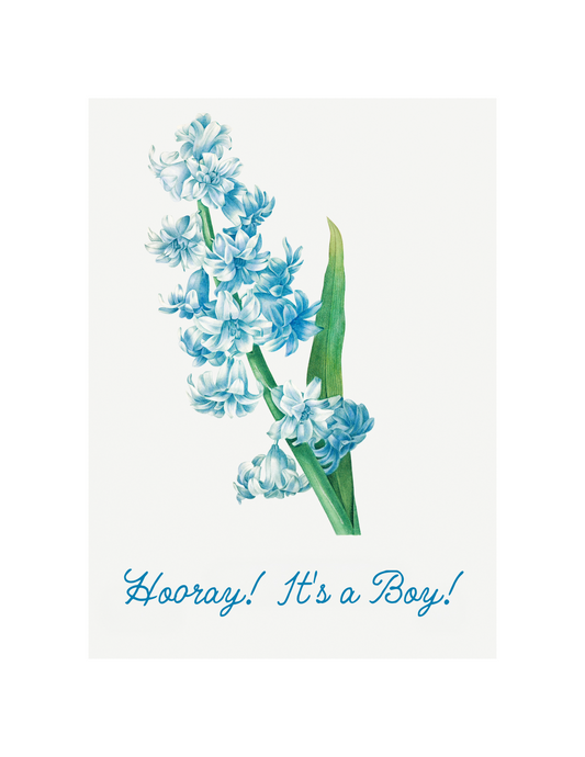 It's a Boy!