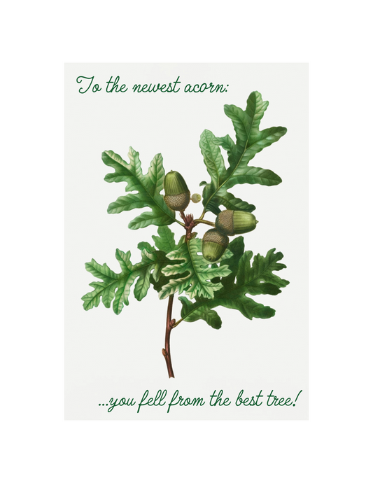 Acorn