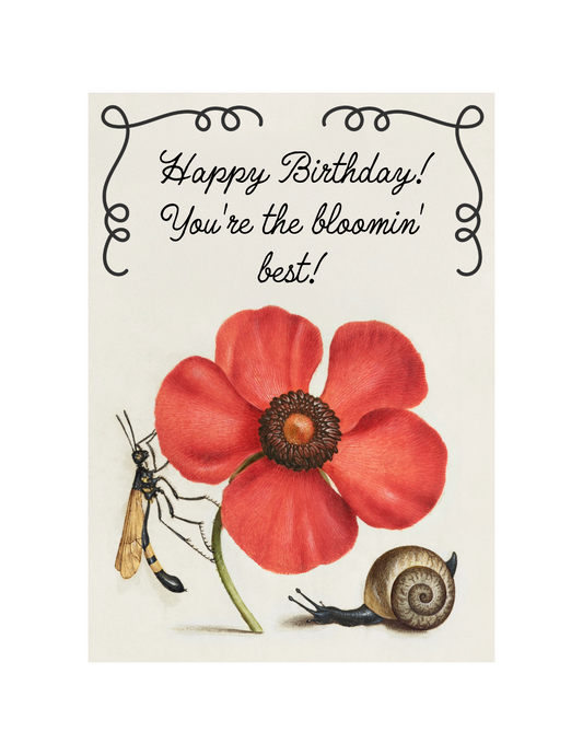 Bloomin' Birthday