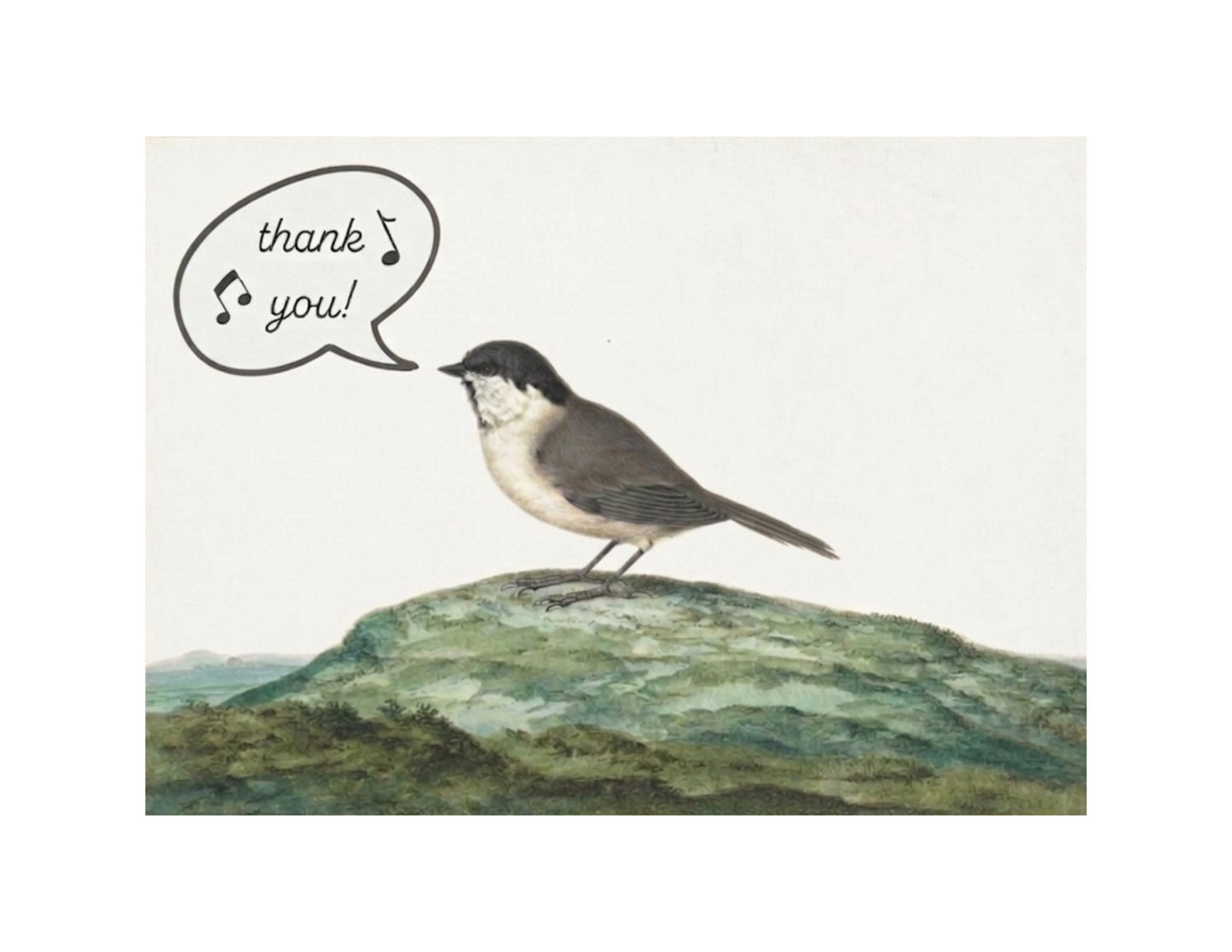 Tweet Tweet